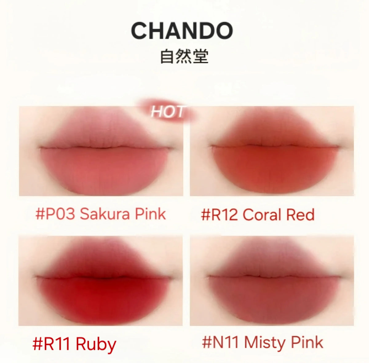 CHANDO Himalaya Soft Touch Matte Lipstick 3,2 gr